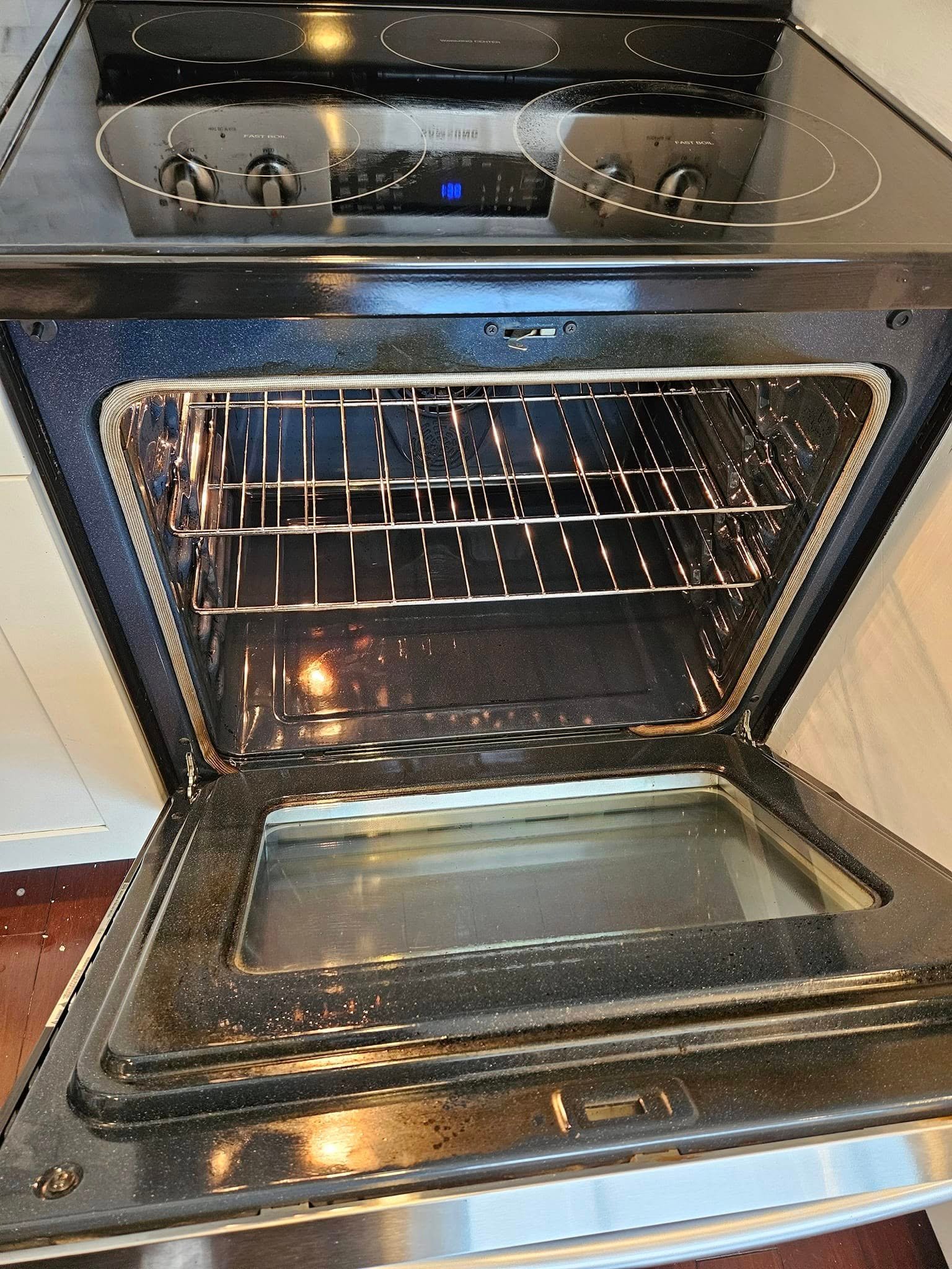 Professional Cleaning Team